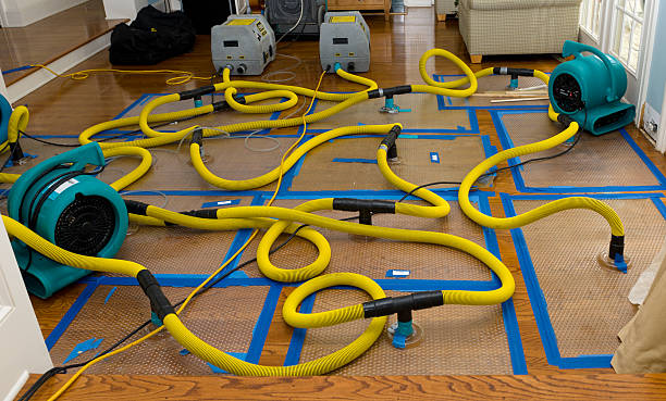 Professional Flood Damage Restoration technician working in Northwood, IA